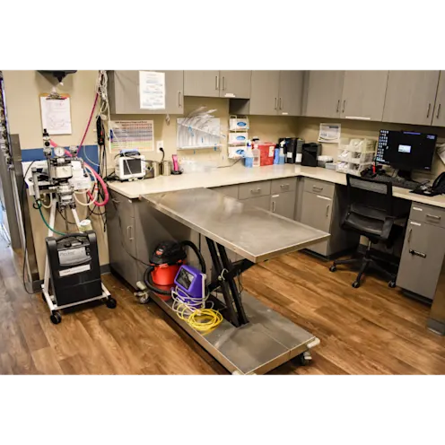 All city hot sale pet care er